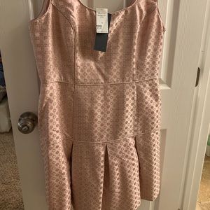 NWT Banana Republic blush dress